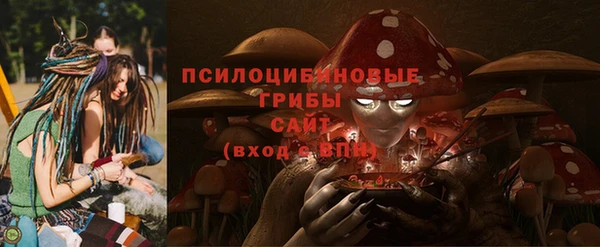 тгк Богданович